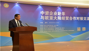 温州市家用电器协会协办并组织副会长单位参加中非经贸高端论坛